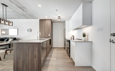 Open Concept vs Traditional Kitchens: Which Layout Is Right for You?